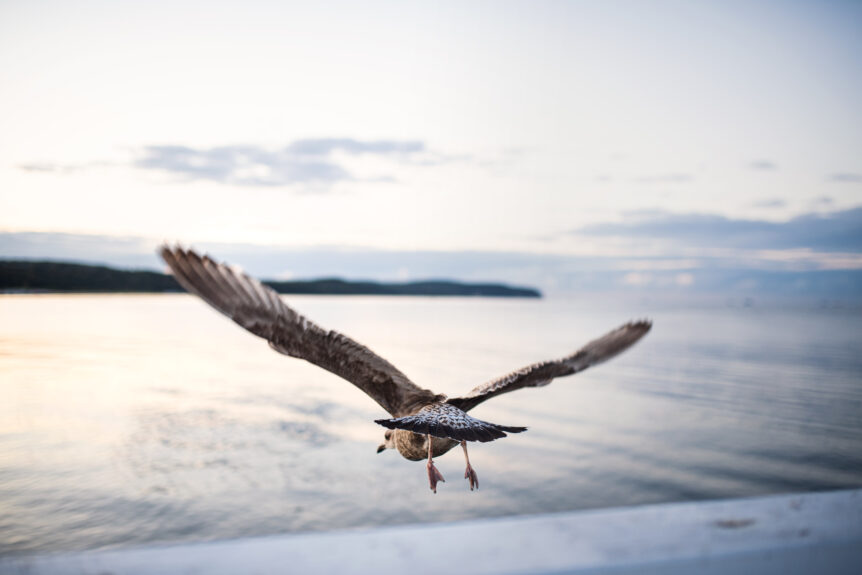 Getting a “bird’s eye view” of your course