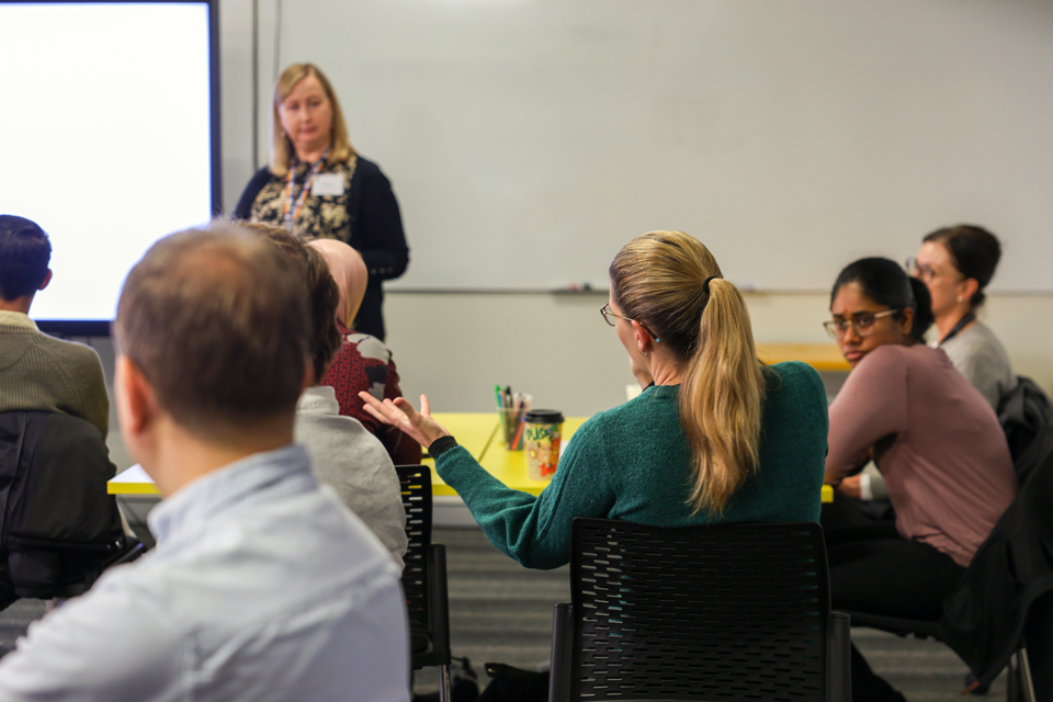 Advancing Learning and Teaching program